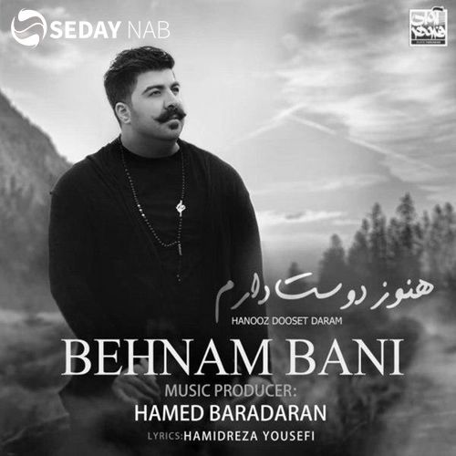 دانلود آهنگ جدید بهنام بانی به نام هنوز دوست دارم